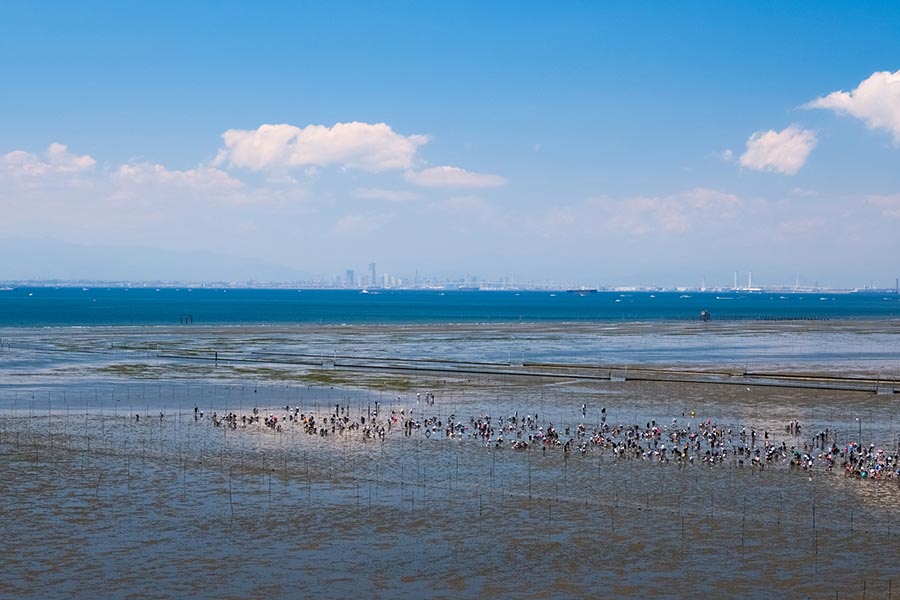 木更津海岸潮干狩場